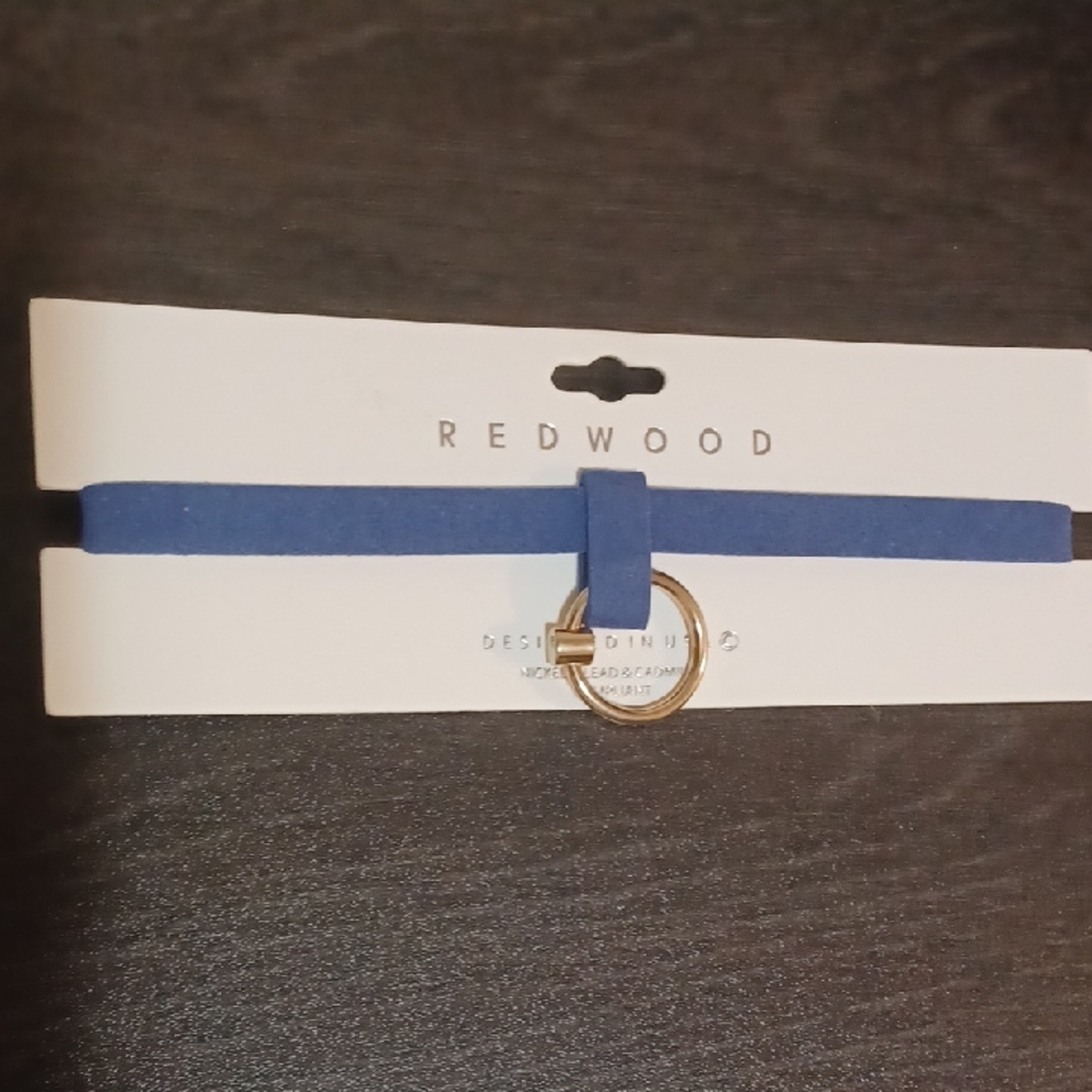 Blue Choker Necklace with Gold Accent
